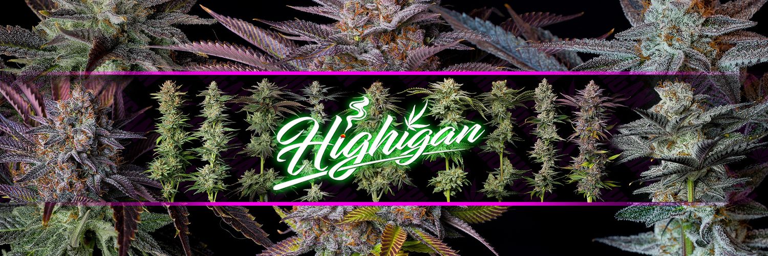 Highigan's banner