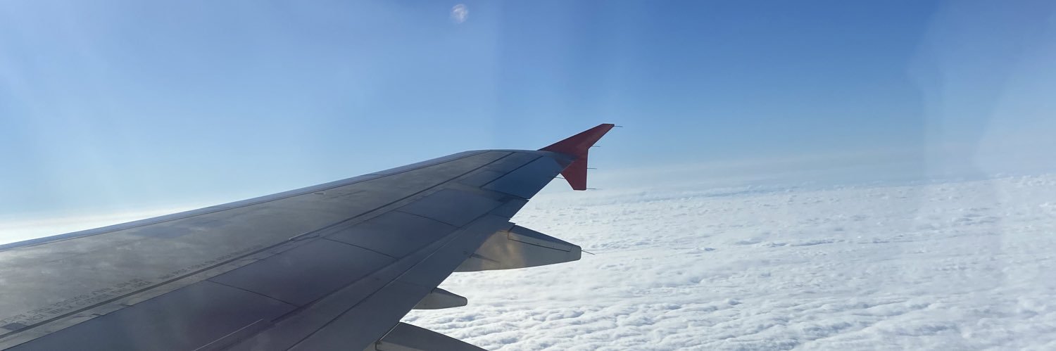 Trans Fofinha's banner