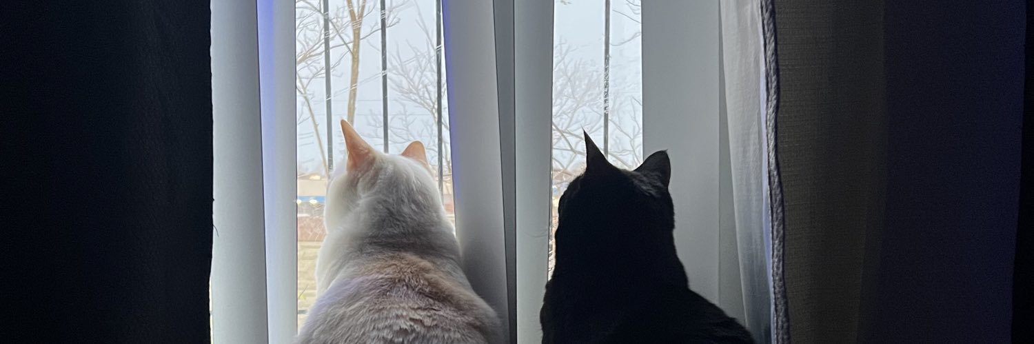 grim & juno ☯︎'s banner