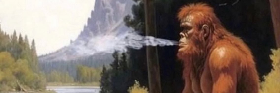 ᴄᴏᴀᴄʜ's banner
