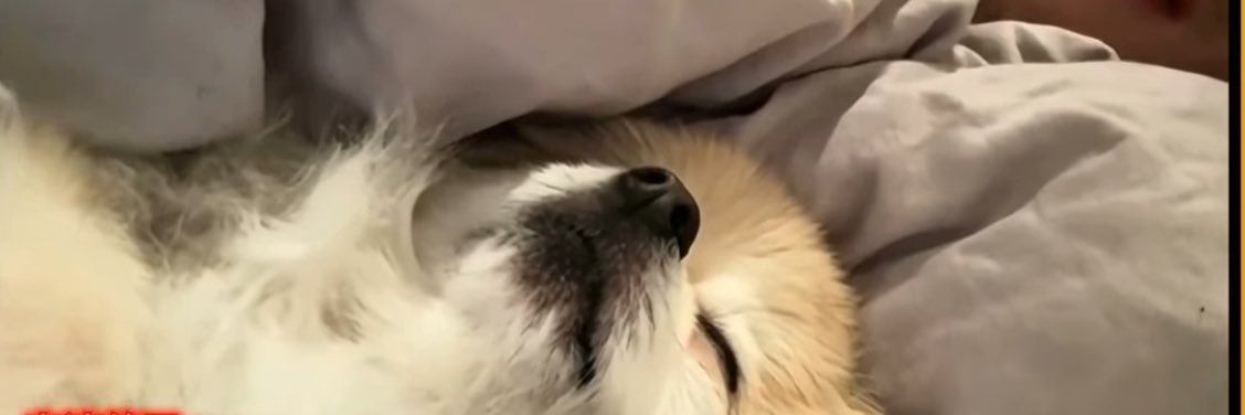 牛乳寒天's banner