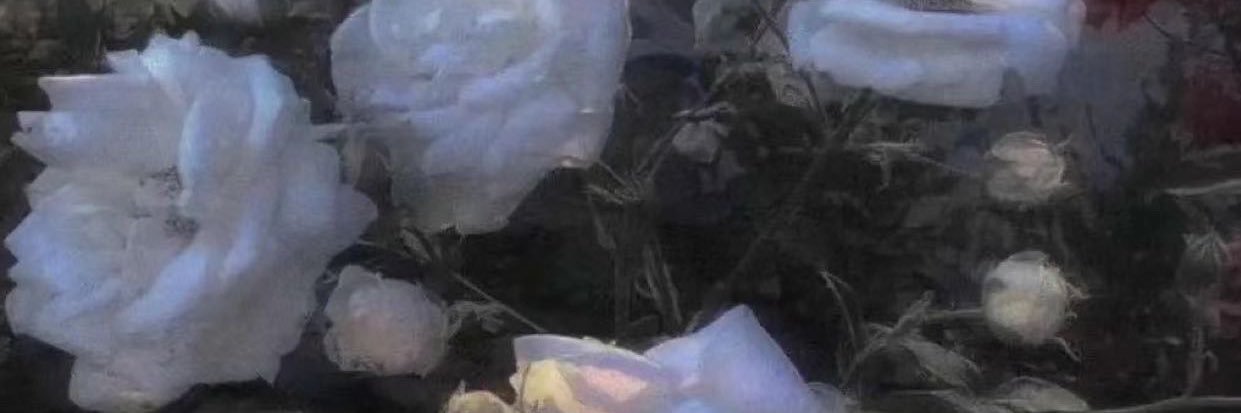 BbBb's banner