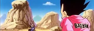 Parm (New Straw Hat Member)'s banner
