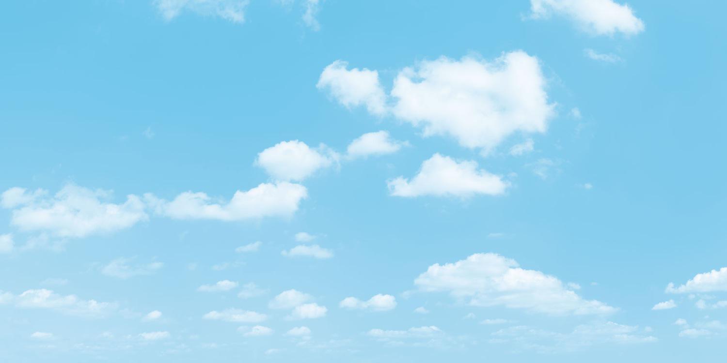 Rachel Shenton's banner
