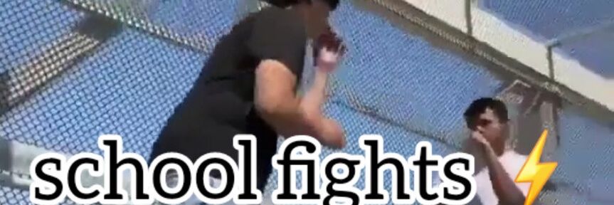 School/street fights's banner