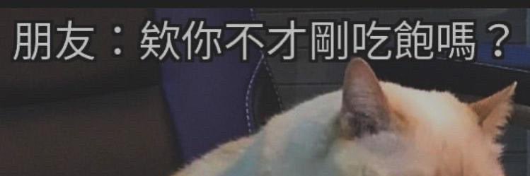 傑米打樁機's banner