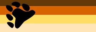 🐻 TheBearFeed ( 34k )'s banner