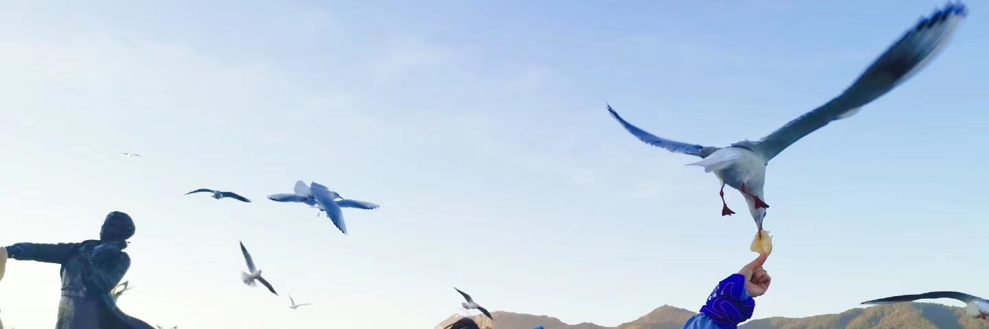 Iris Li 🇨🇳妮妮💞's banner