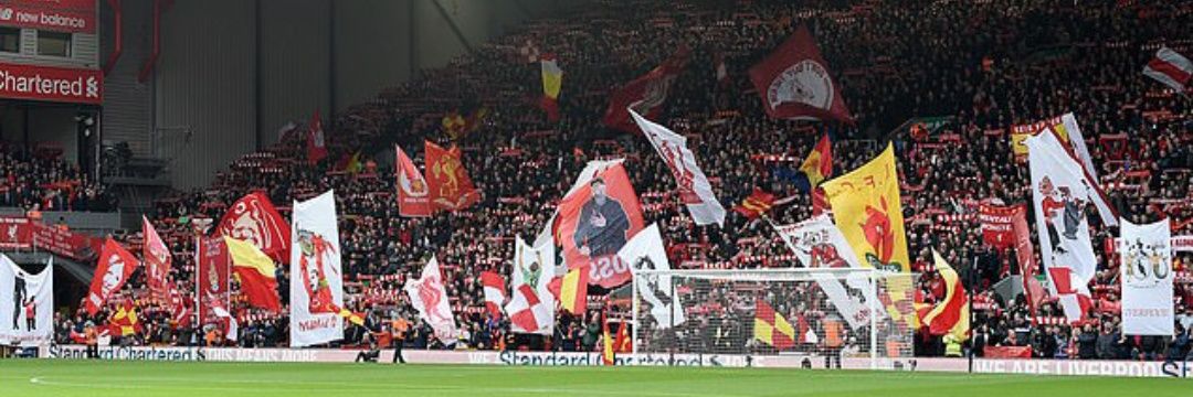 The Liver Bird's banner