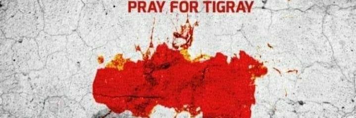 Tigray Update's banner