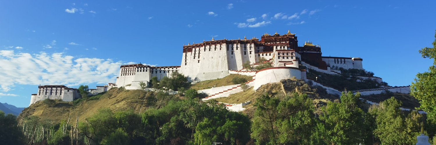 zhaojs-FO🌻's banner