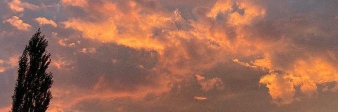 ًyeray•♡'s banner