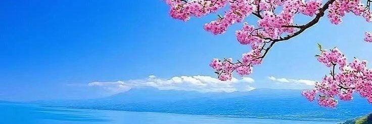 鄒一莲's banner