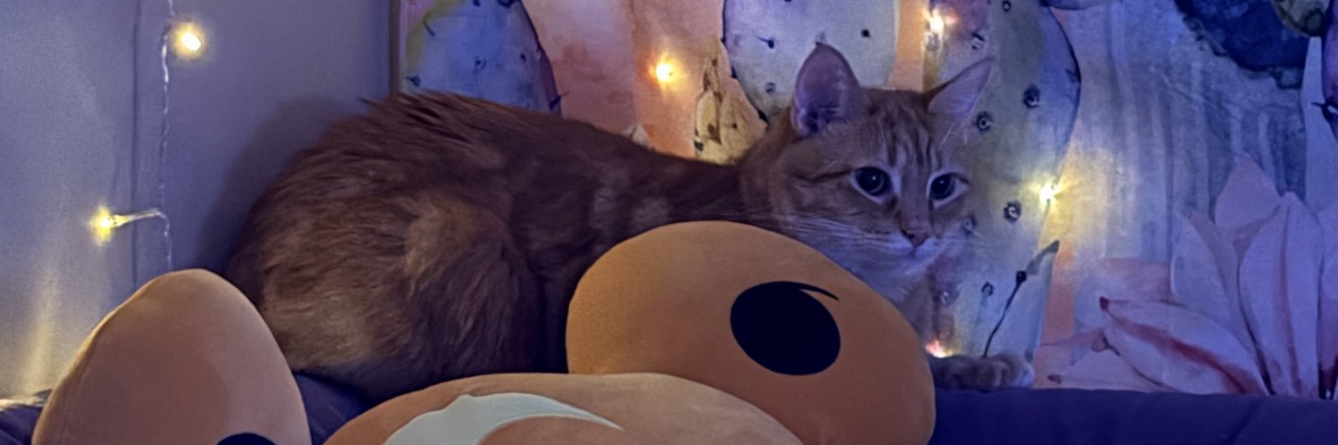 𝔦𝔫𝔡𝔦 ʚ𝔦ɞ's banner