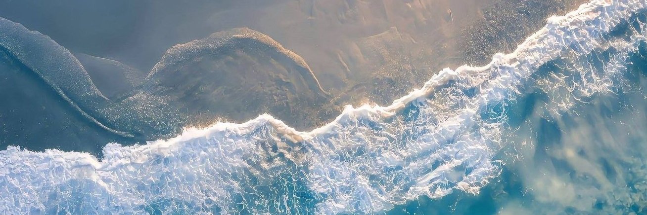 ♜𝔹.𝕋.𝔹's banner