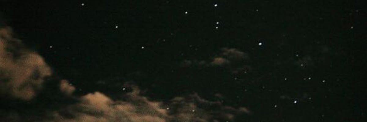 vin 🦦🩶🌱's banner