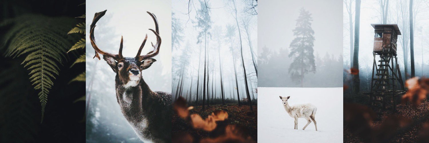 moners | Outdoor Photography from Germany's banner