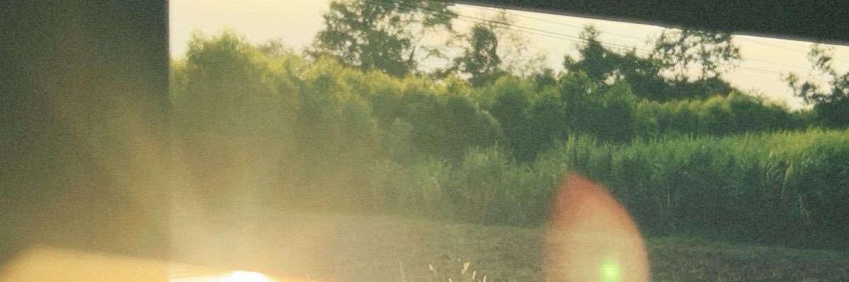 lellikelly's banner