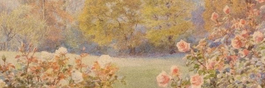 Lana ᥫ᭡'s banner