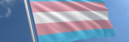 TG's banner
