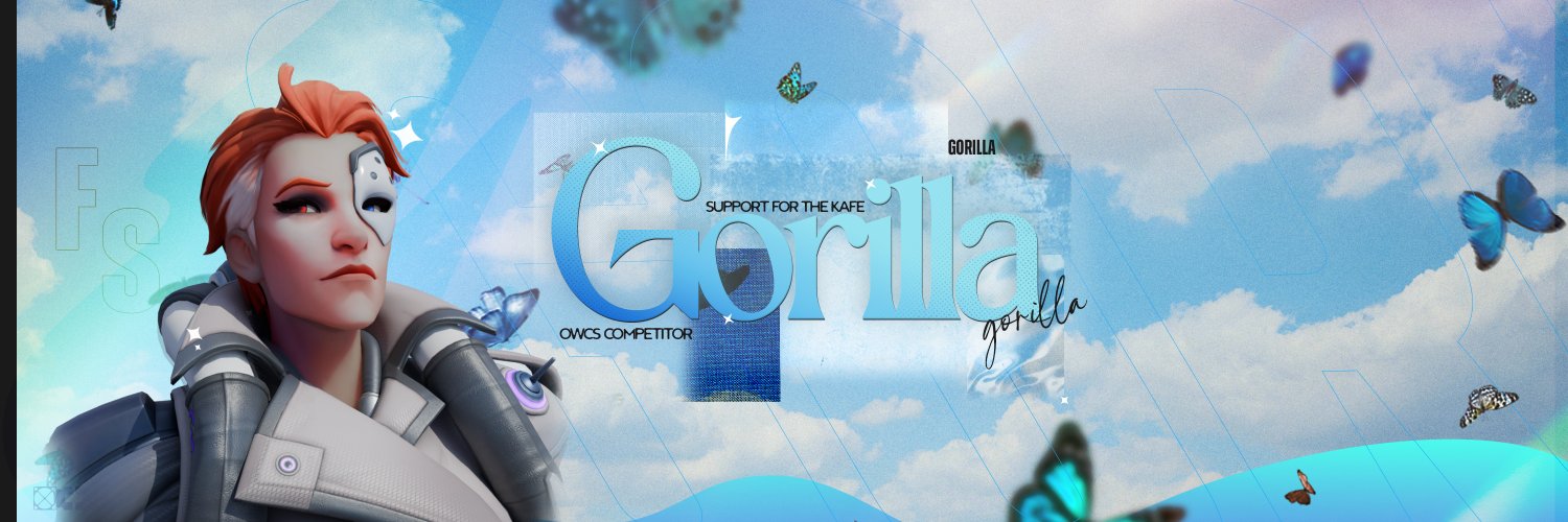 Ryan's banner