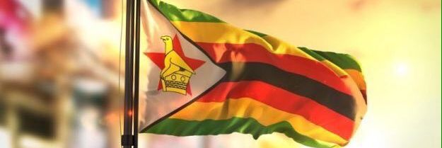 The Harare Times's banner