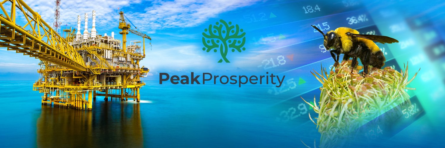 Peak Prosperity's banner