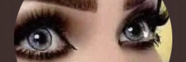 SARA's banner