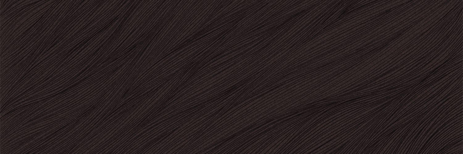 The Long Quiet's banner