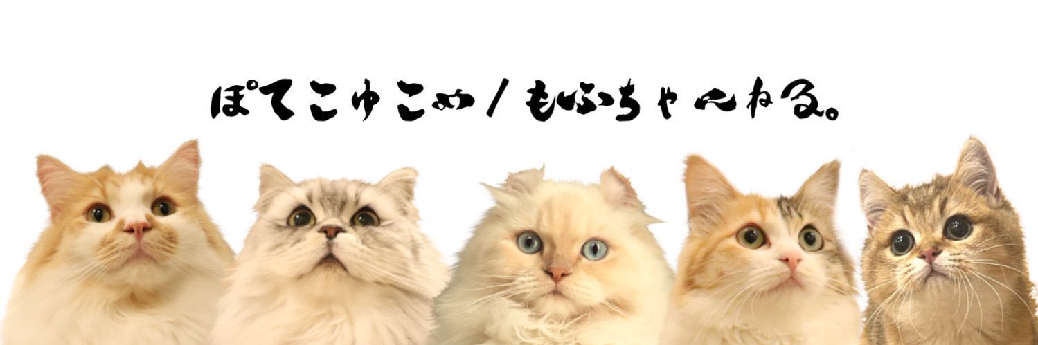 ぽてこゆこめ。's banner
