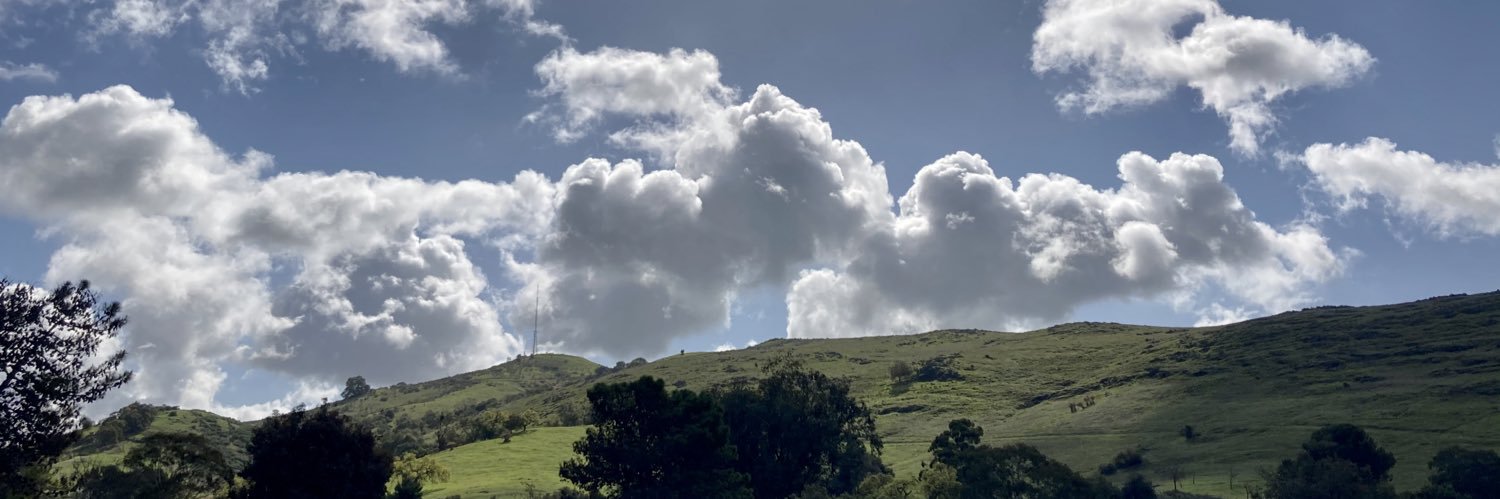 Tesla and Doge's banner