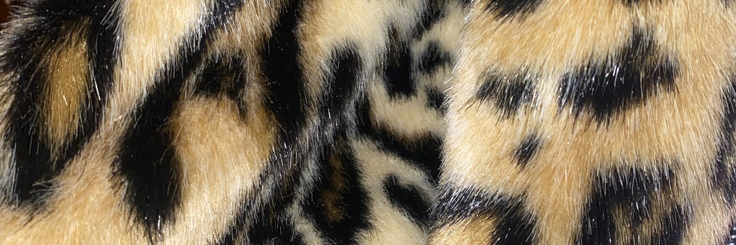 ⋆𐙚₊˚⊹♡ Daniela ⋆𐙚₊˚⊹♡'s banner
