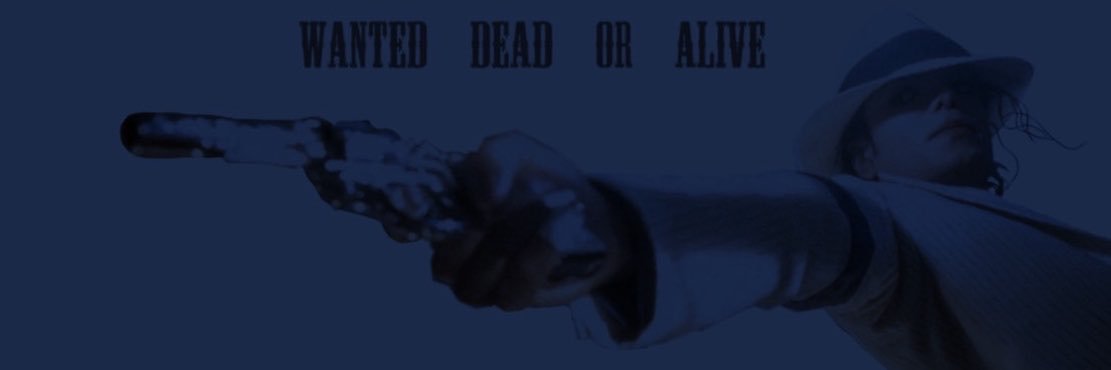 𓆩max𓆪's banner