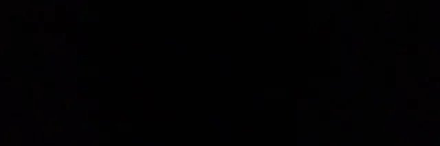 gira's banner