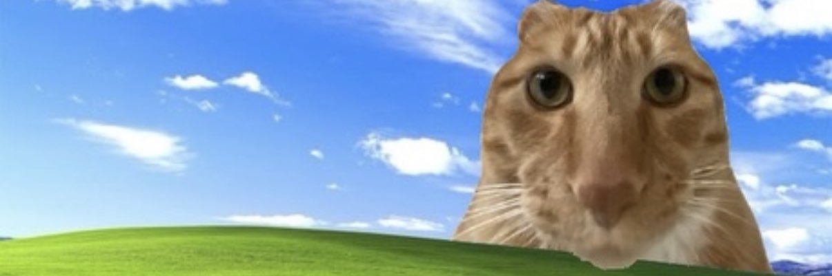 Oats (#1 KASPER ENJOYER)🎃's banner
