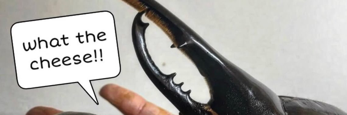 Oats (🤠🌼)'s banner