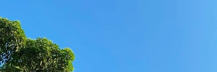 من آتیشم مالک ایرج ☕'s banner