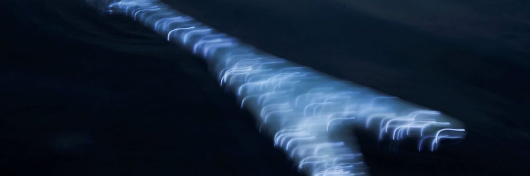 𝐓𝐇𝐄 𝐒𝐏𝐄𝐋𝐋𝐁𝐎𝐔𝐍𝐃's banner