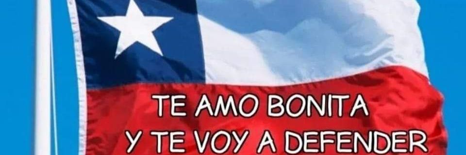 Patriota Furioso / Info War Chile 🪖🇨🇱 En Guerra's banner