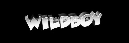 Wildboy's banner