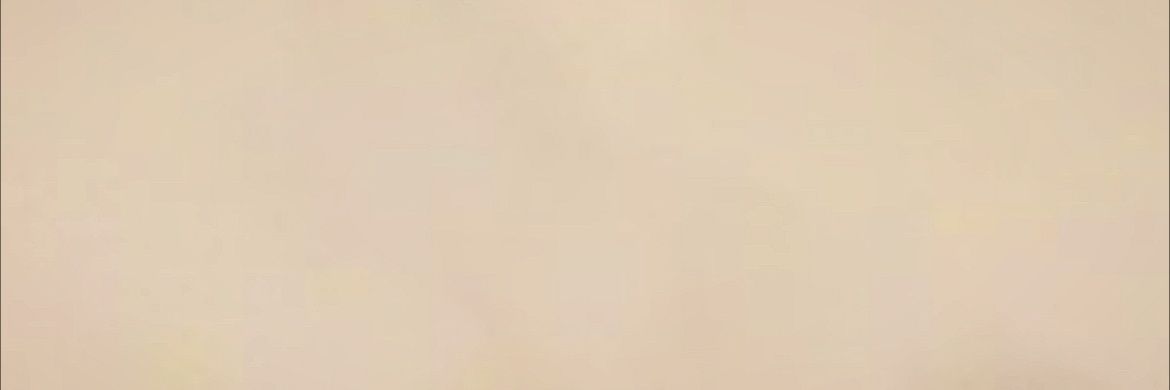 Hans's banner
