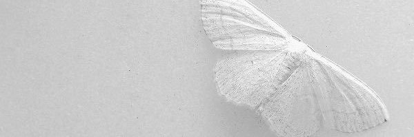 zack ❤︎'s banner