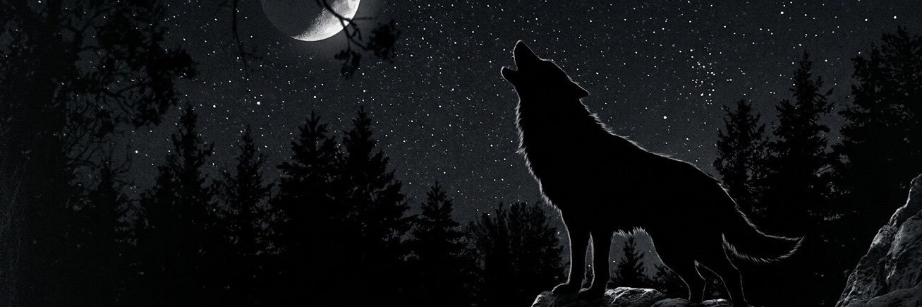 ZYZ's banner