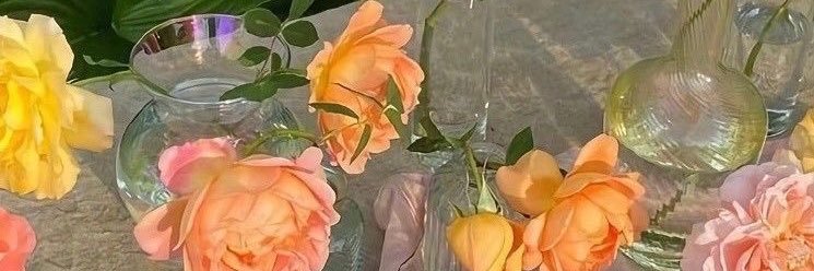 andi ೀ's banner