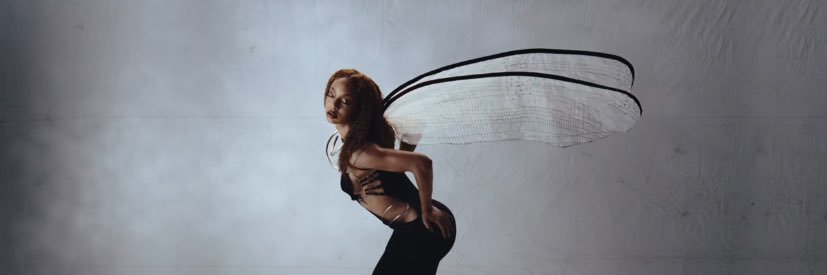 vini de(lírios 🪷's banner