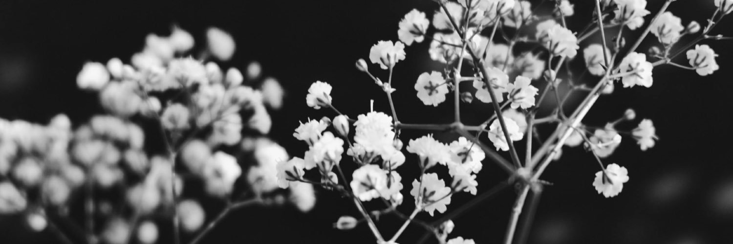 Samantha González's banner