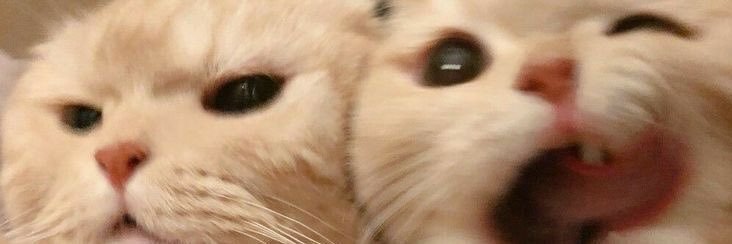 ♡'s banner