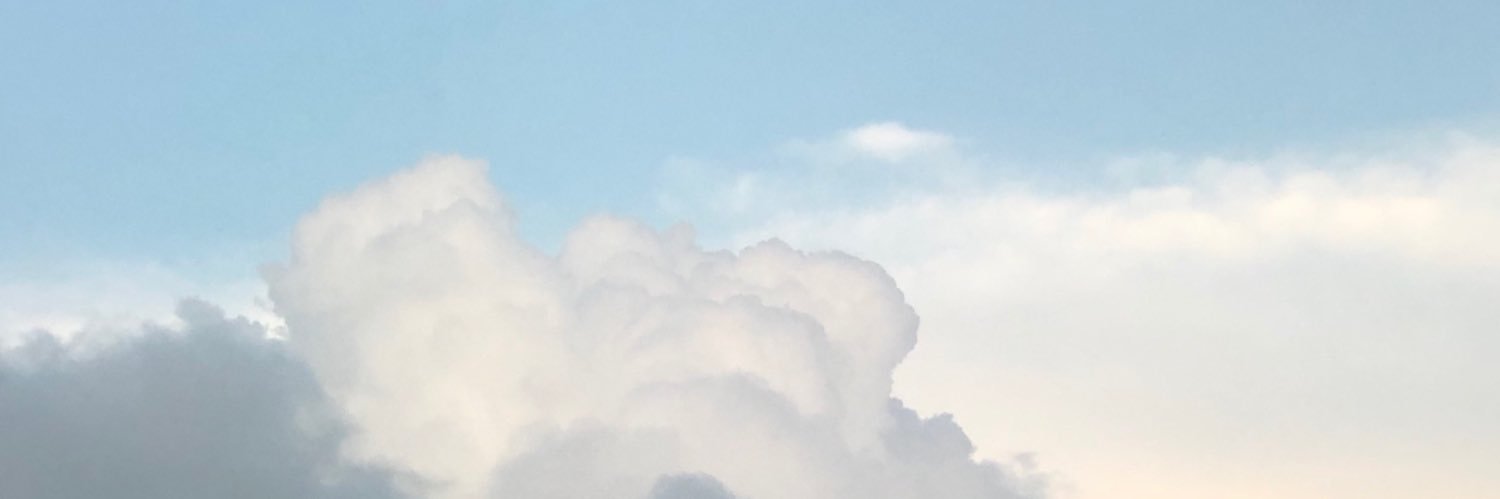 らん's banner
