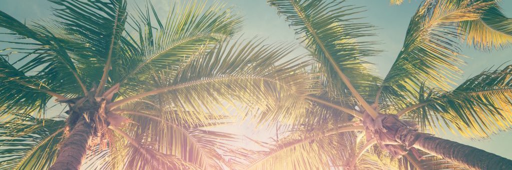 patii ♡'s banner