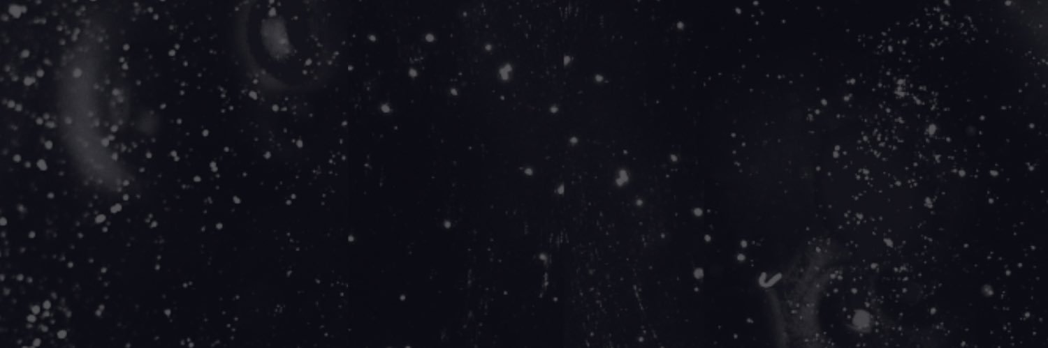 Voidz's banner